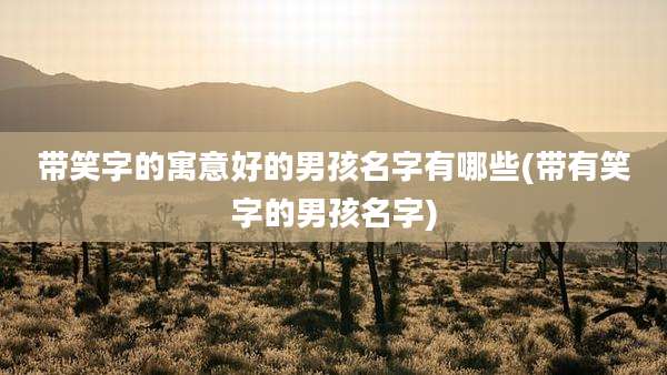 带笑字的寓意好的男孩名字有哪些(带有笑字的男孩名字)