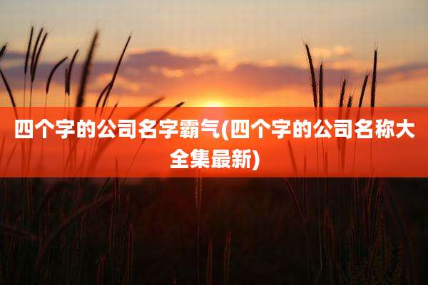 四个字的公司名字霸气(四个字的公司名称大全集最新)