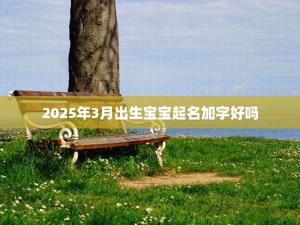 2025年3月出生宝宝起名加字好吗