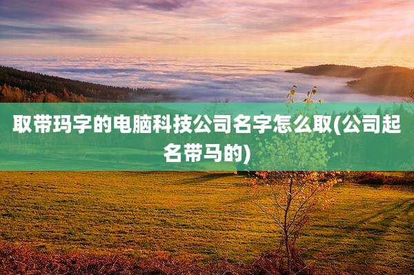 取带玛字的电脑科技公司名字怎么取(公司起名带马的)