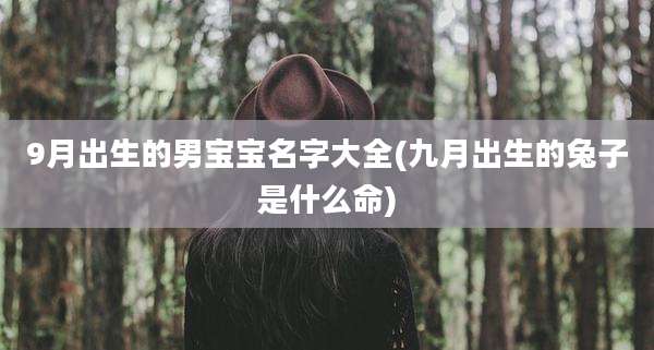 9月出生的男宝宝名字大全(九月出生的兔子是什么命)