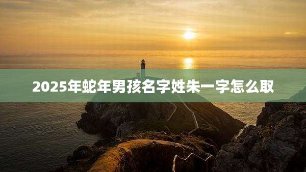 2025年蛇年男孩名字姓朱一字怎么取