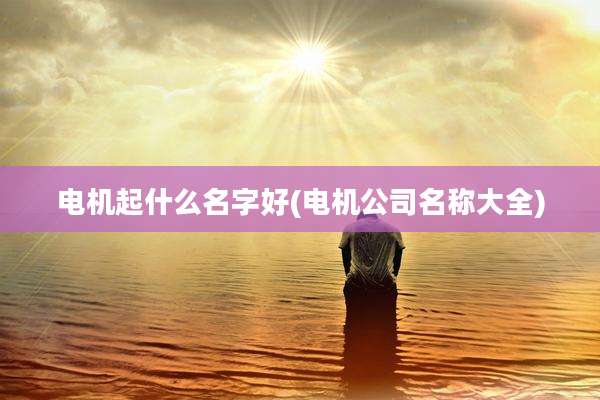 电机起什么名字好(电机公司名称大全)