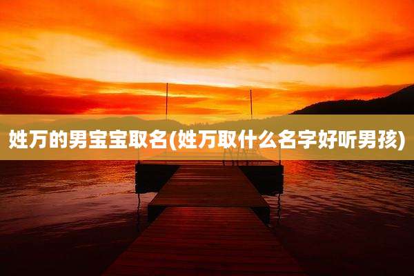 姓万的男宝宝取名(姓万取什么名字好听男孩)