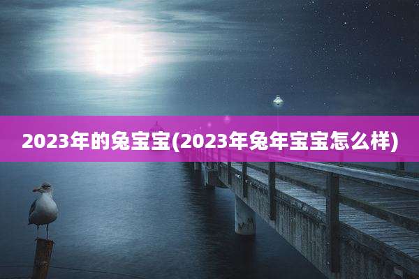 2023年的兔宝宝(2023年兔年宝宝怎么样)