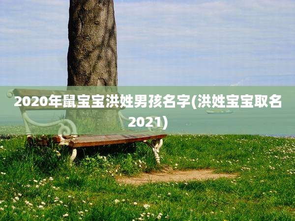 2020年鼠宝宝洪姓男孩名字(洪姓宝宝取名2021)