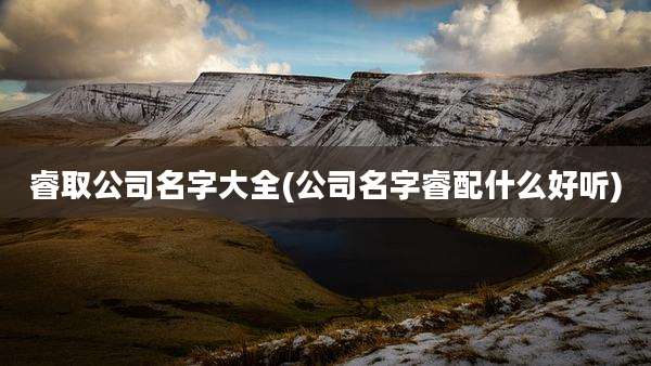 睿取公司名字大全(公司名字睿配什么好听)