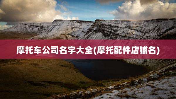 摩托车公司名字大全(摩托配件店铺名)