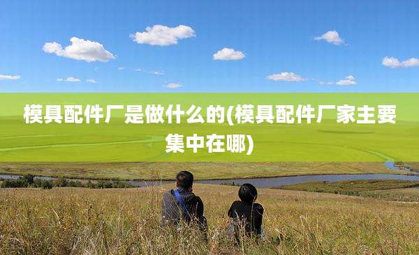 模具配件厂是做什么的(模具配件厂家主要集中在哪)