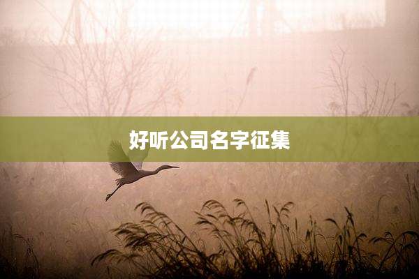 好听公司名字征集