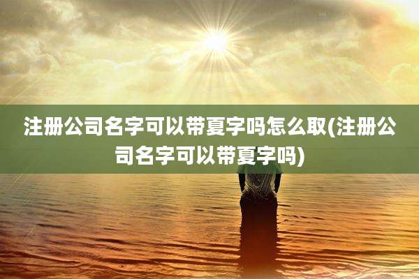 注册公司名字可以带夏字吗怎么取(注册公司名字可以带夏字吗)