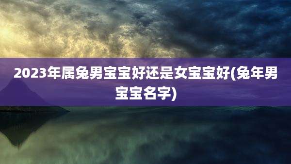 2023年属兔男宝宝好还是女宝宝好(兔年男宝宝名字)
