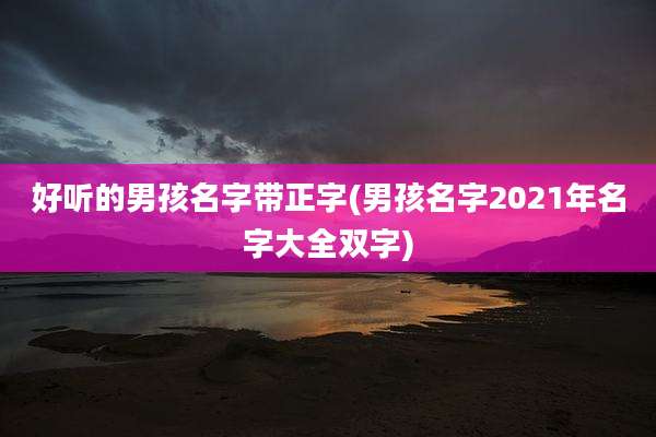 好听的男孩名字带正字(男孩名字2021年名字大全双字)