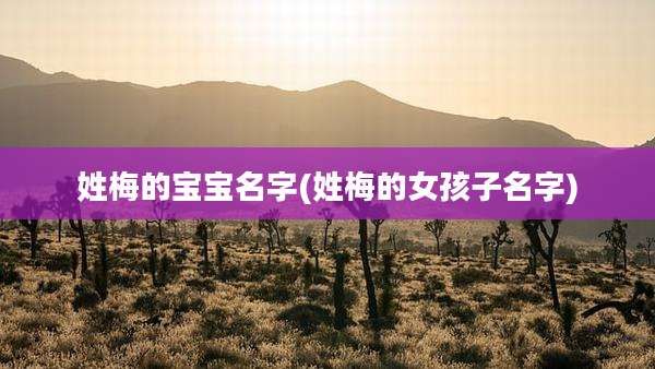 姓梅的宝宝名字(姓梅的女孩子名字)