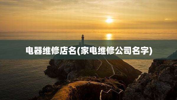 电器维修店名(家电维修公司名字)