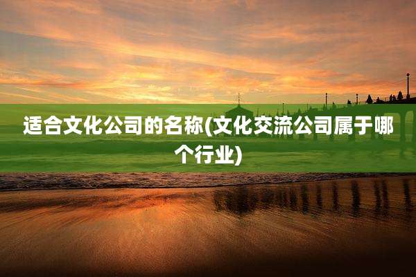 适合文化公司的名称(文化交流公司属于哪个行业)