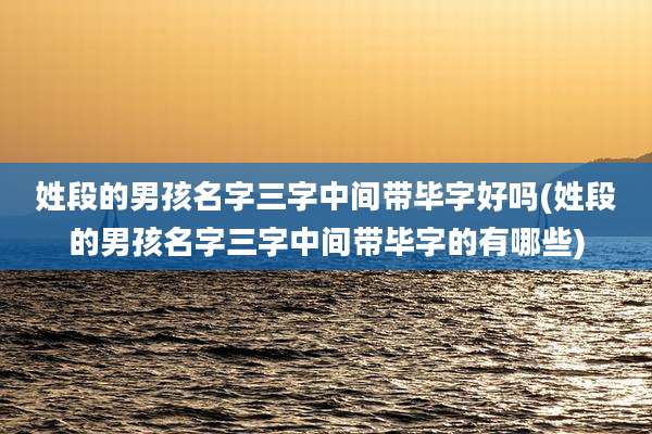 姓段的男孩名字三字中间带毕字好吗(姓段的男孩名字三字中间带毕字的有哪些)