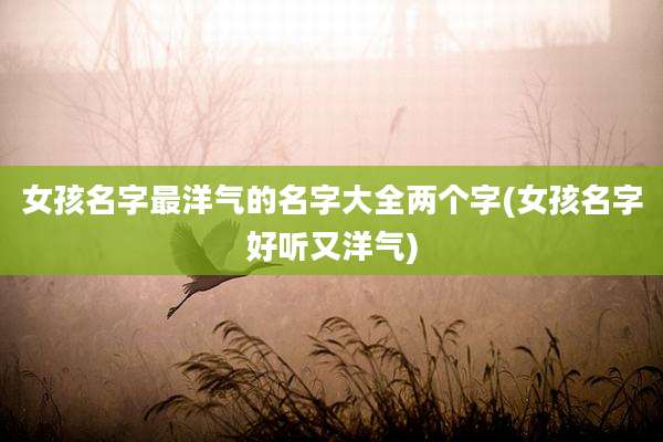 女孩名字最洋气的名字大全两个字(女孩名字好听又洋气)