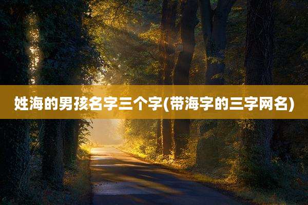 姓海的男孩名字三个字(带海字的三字网名)