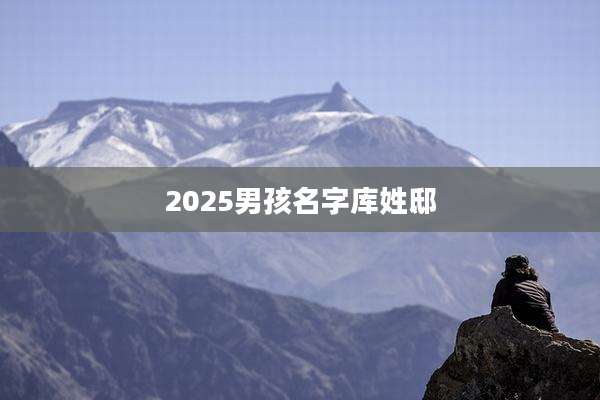 2025男孩名字库姓邸