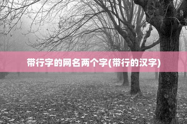 带行字的网名两个字(带行的汉字)