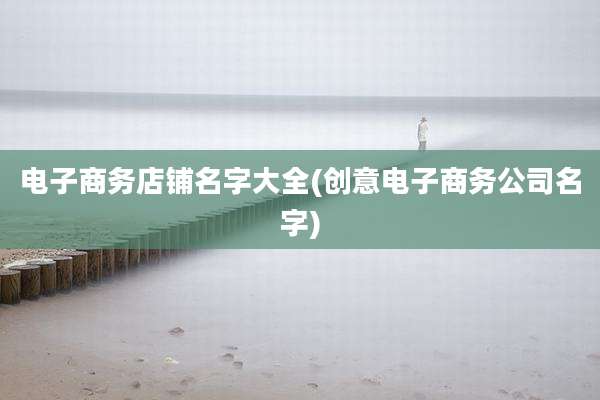 电子商务店铺名字大全(创意电子商务公司名字)