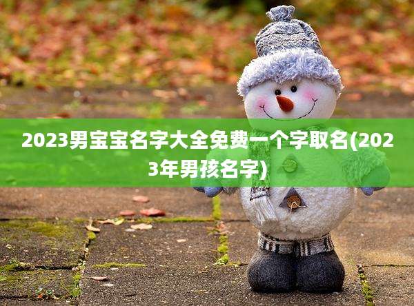 2023男宝宝名字大全免费一个字取名(2023年男孩名字)