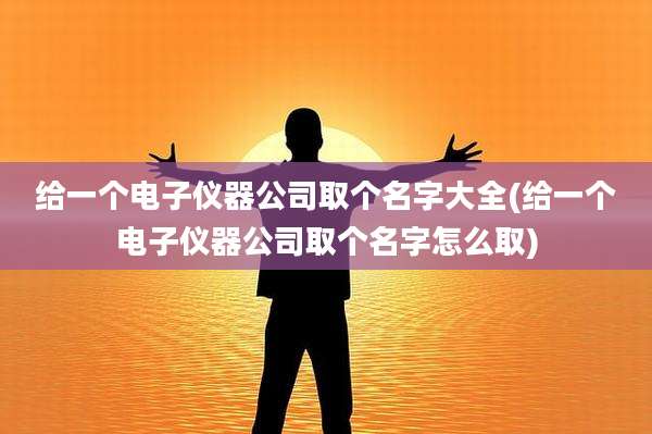 给一个电子仪器公司取个名字大全(给一个电子仪器公司取个名字怎么取)