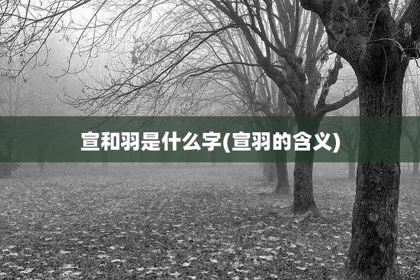 宣和羽是什么字(宣羽的含义)