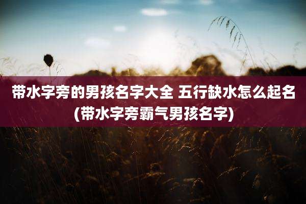 带水字旁的男孩名字大全 五行缺水怎么起名(带水字旁霸气男孩名字)