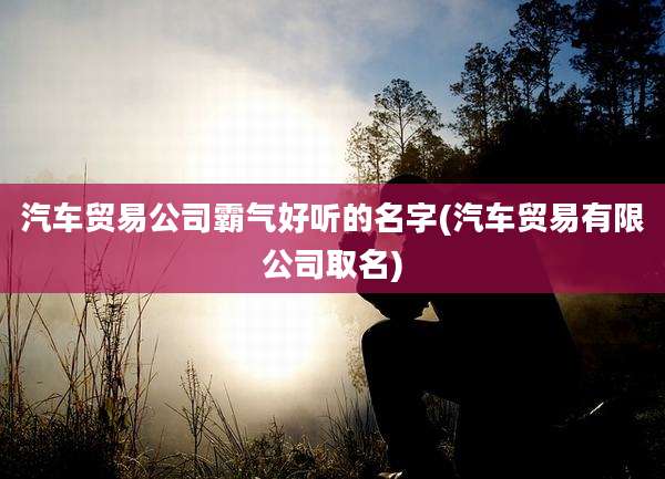 汽车贸易公司霸气好听的名字(汽车贸易有限公司取名)