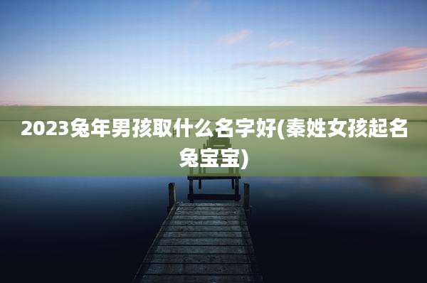 2023兔年男孩取什么名字好(秦姓女孩起名兔宝宝)