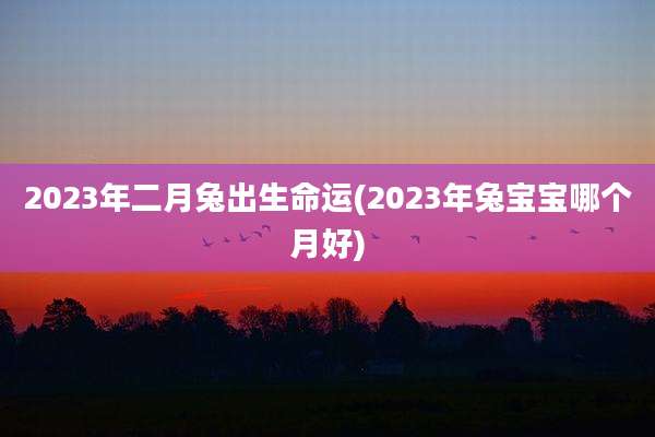 2023年二月兔出生命运(2023年兔宝宝哪个月好)