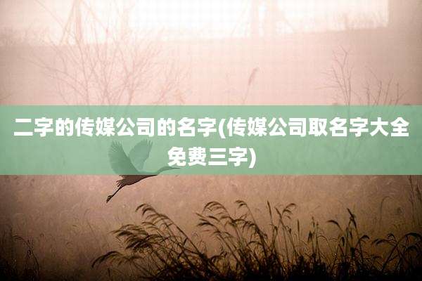 二字的传媒公司的名字(传媒公司取名字大全免费三字)