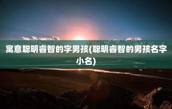 寓意聪明睿智的字男孩(聪明睿智的男孩名字小名)