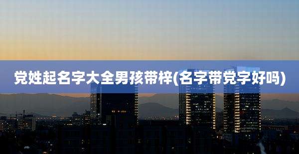 党姓起名字大全男孩带梓(名字带党字好吗)