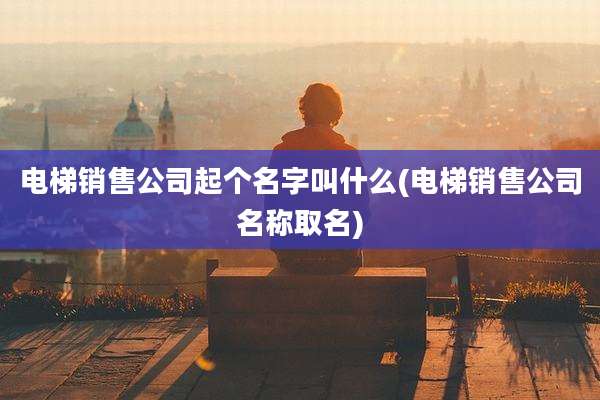 电梯销售公司起个名字叫什么(电梯销售公司名称取名)