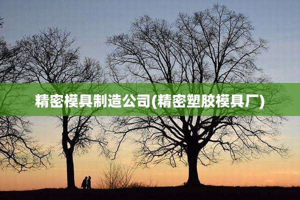 精密模具制造公司(精密塑胶模具厂)