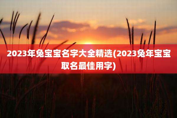 2023年兔宝宝名字大全精选(2023兔年宝宝取名最佳用字)