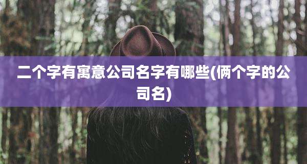 二个字有寓意公司名字有哪些(俩个字的公司名)