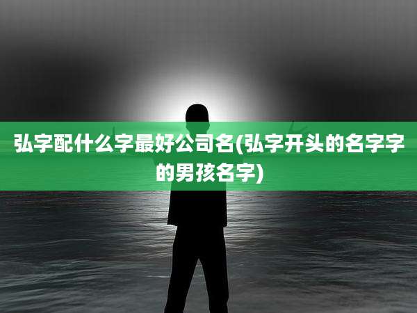 弘字配什么字最好公司名(弘字开头的名字字的男孩名字)