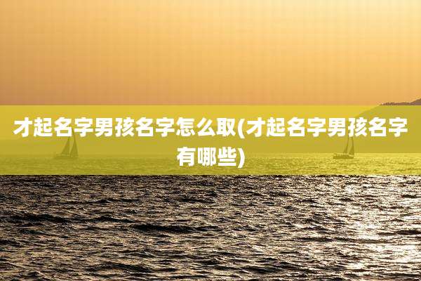 才起名字男孩名字怎么取(才起名字男孩名字有哪些)