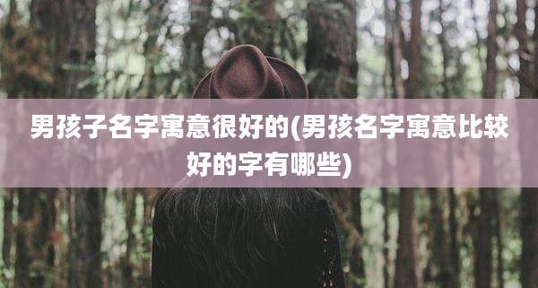 男孩子名字寓意很好的(男孩名字寓意比较好的字有哪些)