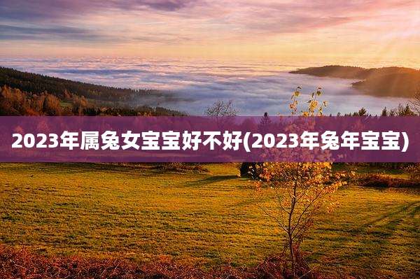2023年属兔女宝宝好不好(2023年兔年宝宝)