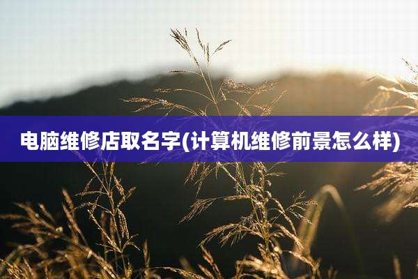 电脑维修店取名字(计算机维修前景怎么样)