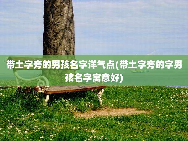 带土字旁的男孩名字洋气点(带土字旁的字男孩名字寓意好)