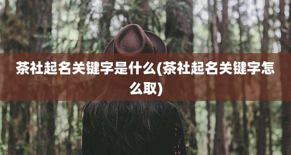 茶社起名关键字是什么(茶社起名关键字怎么取)