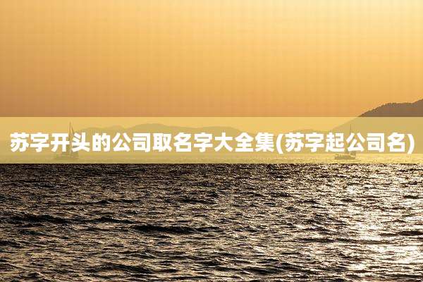 苏字开头的公司取名字大全集(苏字起公司名)