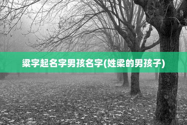 粱字起名字男孩名字(姓梁的男孩子)