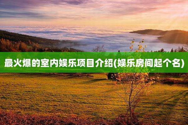 最火爆的室内娱乐项目介绍(娱乐房间起个名)